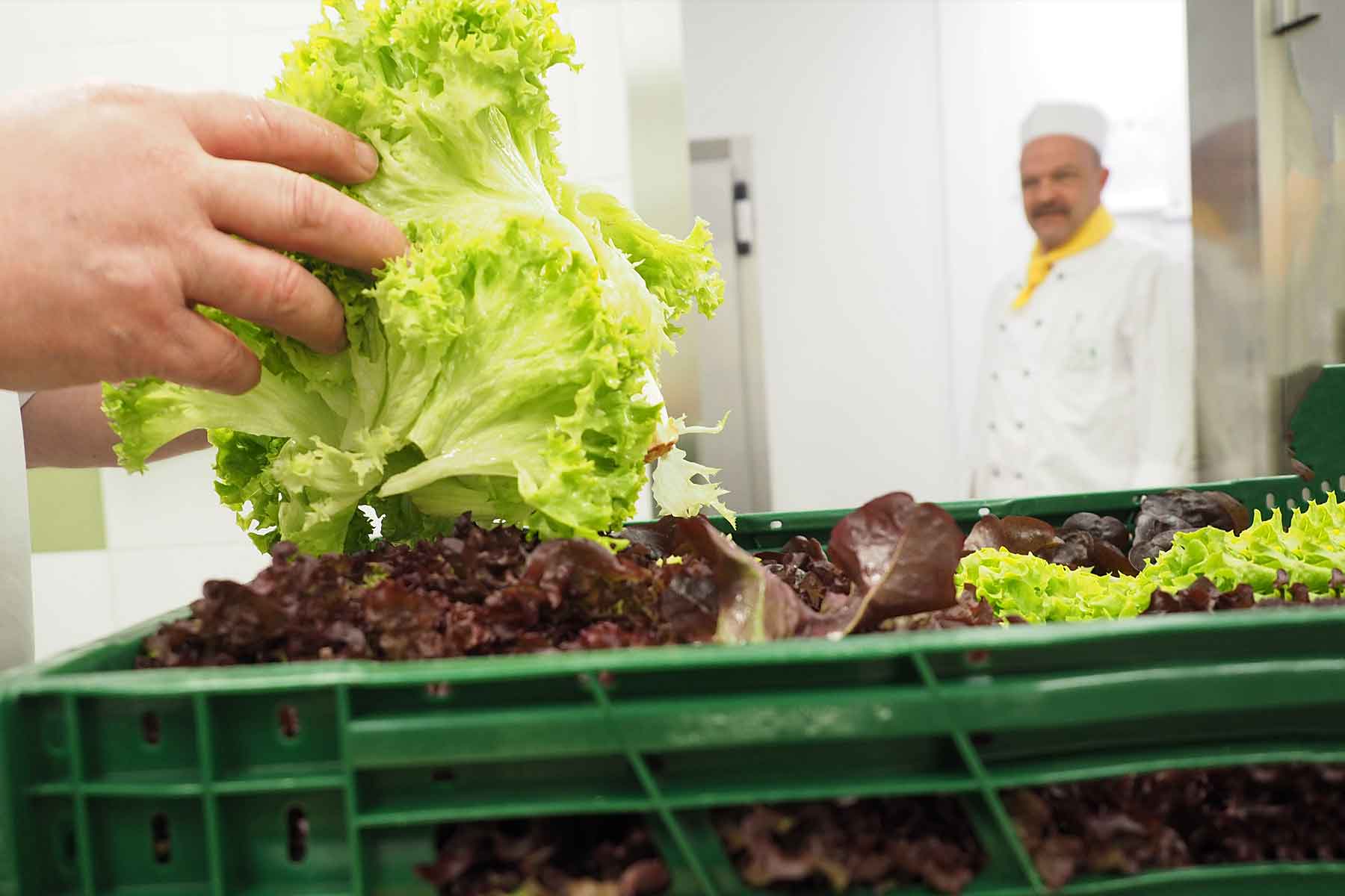 Salatkiste in der Dornahof Gro&szlig;k&uuml;che