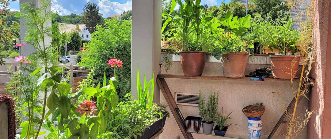 Balkon T&uuml;bingen Wohnungsnotfallhilfe