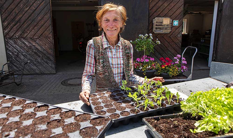 Dame mit Pflanz-Setzlingen