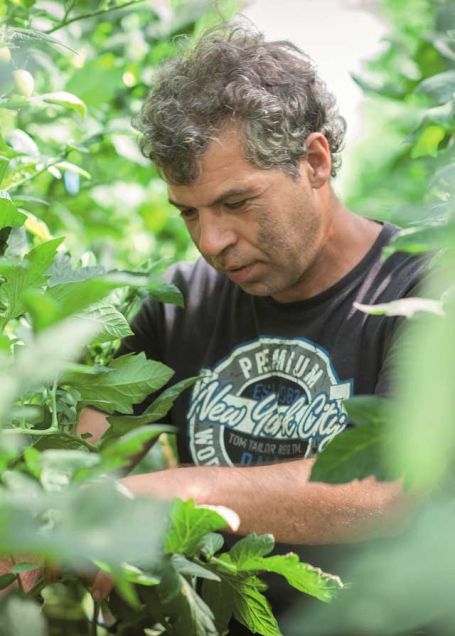 Mann bei Gartenarbeit